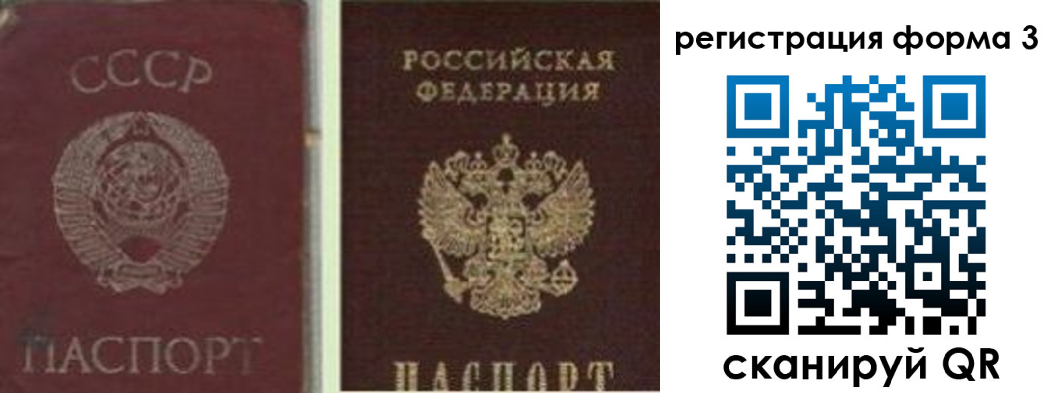 прописка для школы в Шлиссельбурге