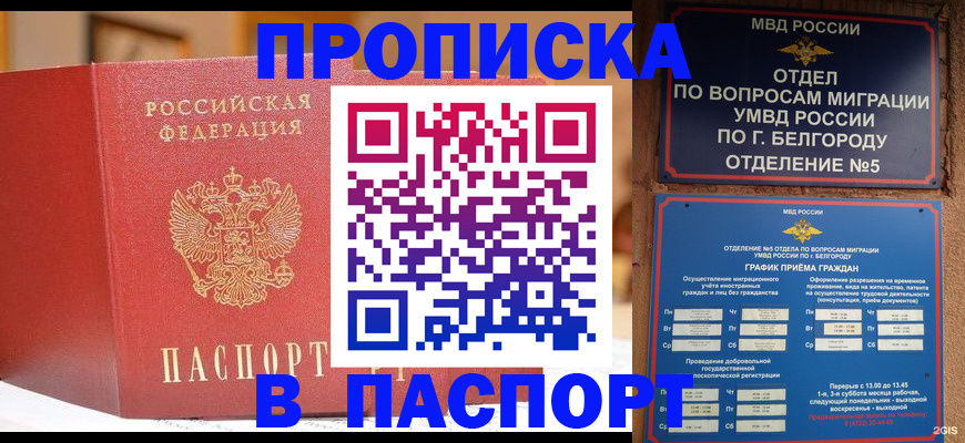 временная регистрация в квартире в Шлиссельбурге